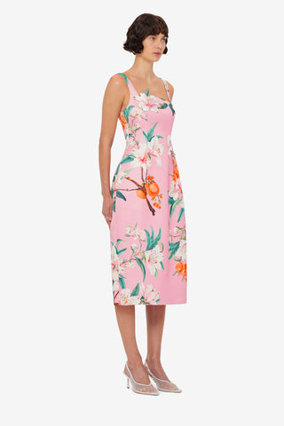 Larissa Midi Dress - Lavish Print in Pink