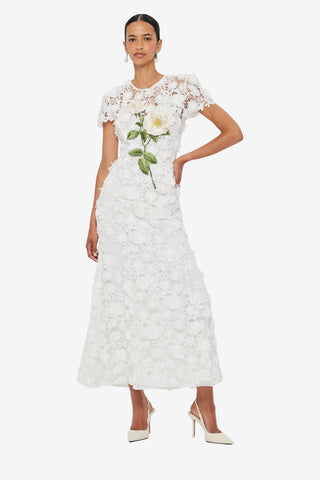 Monique Embroidered Lace Maxi Dress - Snow