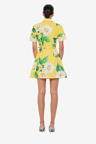 Brigitte Mini Dress - Joie Print in Sunshine