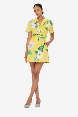 Brigitte Mini Dress - Joie Print in Sunshine