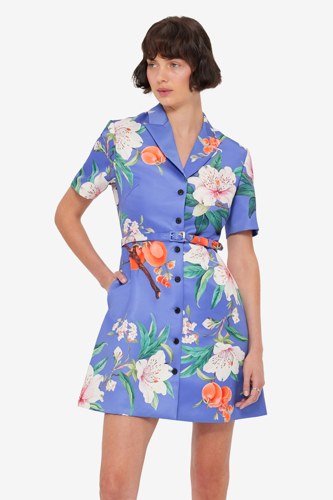 Brigitte Mini Dress - Lavish Print in Moonlight