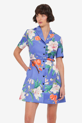 Brigitte Mini Dress - Lavish Print in Moonlight