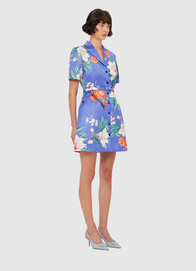 Exclusive LEO LIN Brigitte Mini Dress - Lavish Print in Moonlight