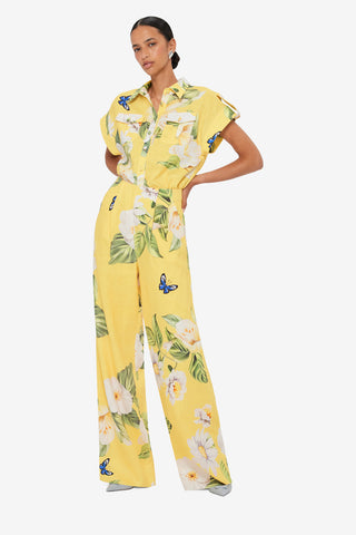 Luisa Pants - Joie Print in Sunshine