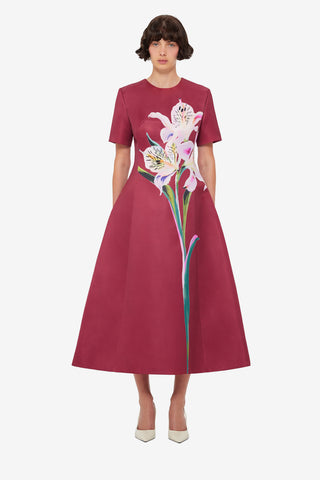 Caroline Short Sleeve Midi Dress - Lily Print in Burgundy