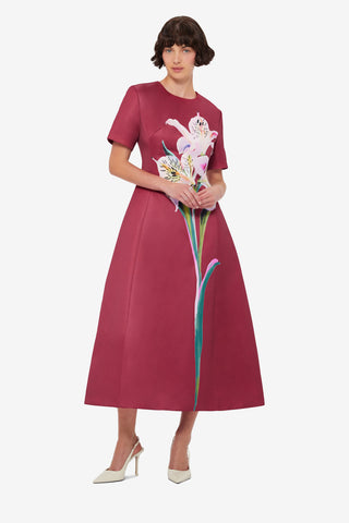 Caroline Short Sleeve Midi Dress - Lily Print in Burgundy