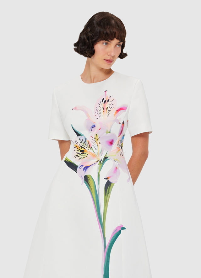 Exclusive LEO LIN Caroline Short Sleeve Midi Dress - Lily Print in Snow