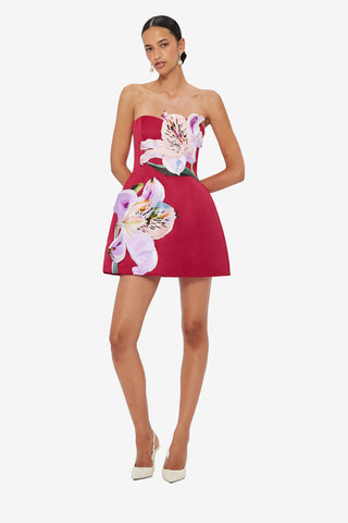 Rosario Appliqué Floral Bustier Mini Dress - Lily Print in Oxblood