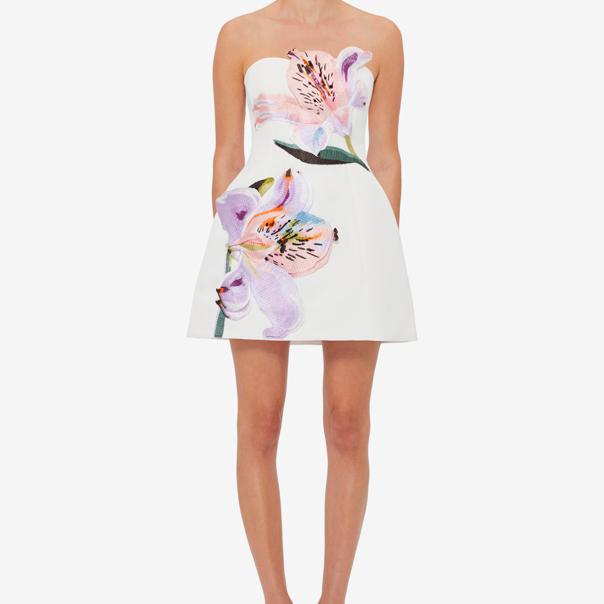 Rosario Appliqué Floral Bustier Mini Dress - Lily Print in Snow