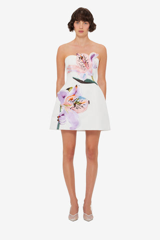 Rosario Appliqué Floral Bustier Mini Dress - Lily Print in Snow
