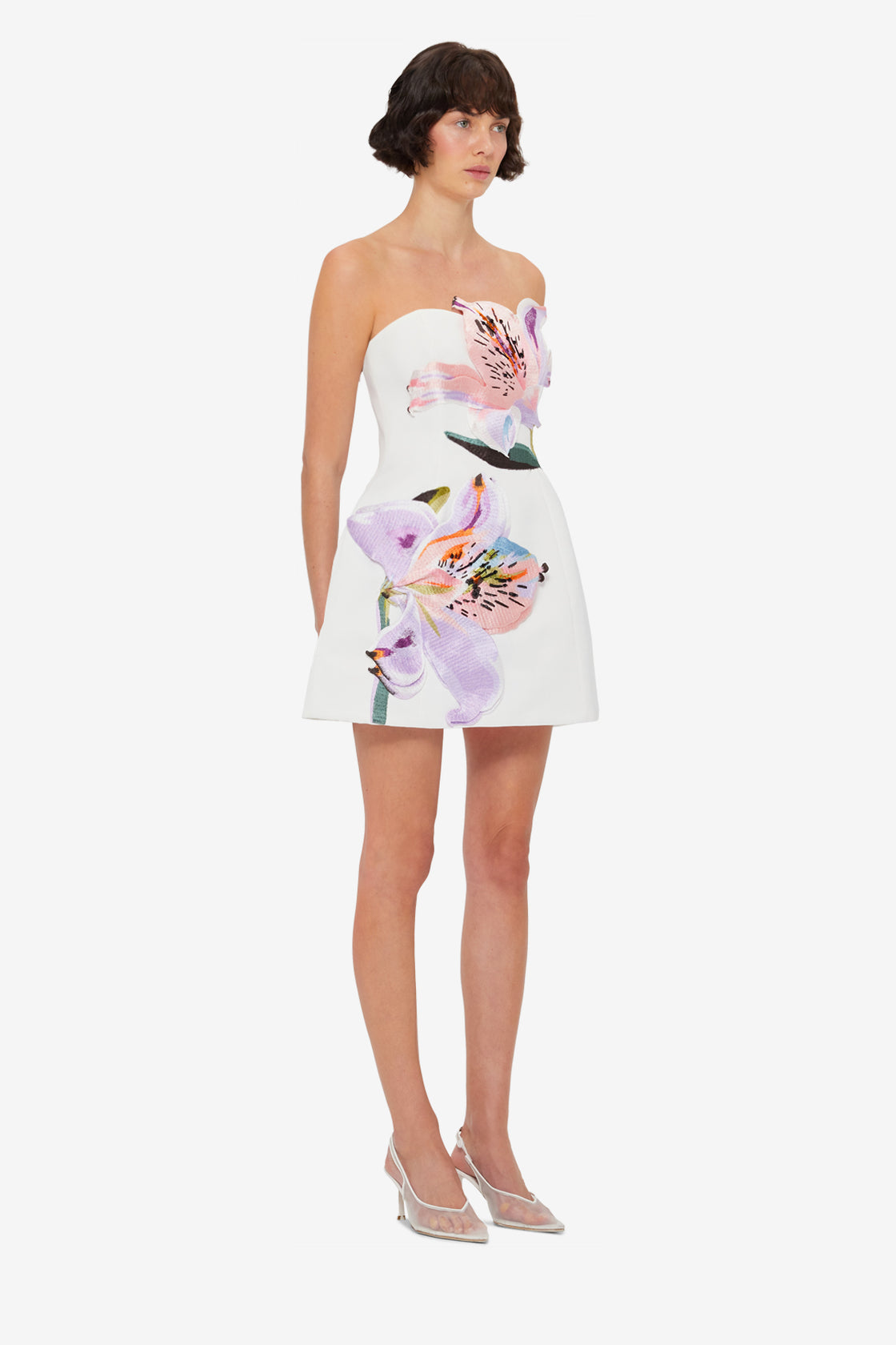 Rosario Appliqué Floral Bustier Mini Dress - Lily Print in Snow