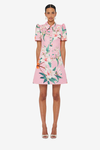 Brooke Mini Dress - Lavish Print in Pink