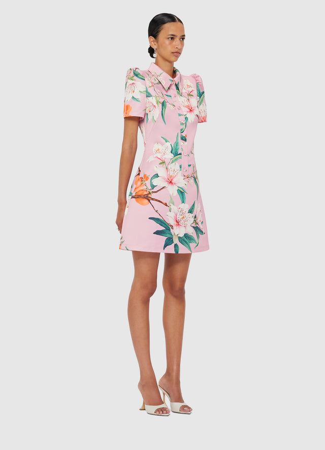 Exclusive LEO LIN Brooke Mini Dress - Lavish Print in Pink