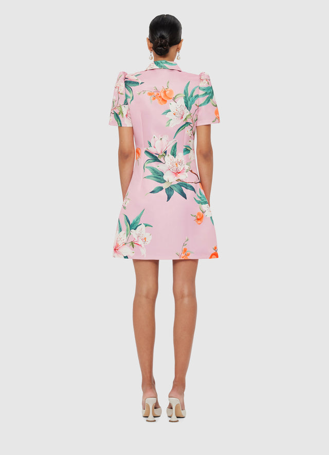 Exclusive LEO LIN Brooke Mini Dress - Lavish Print in Pink