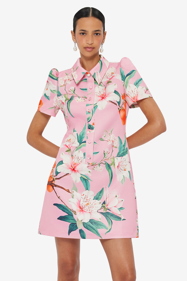 Brooke Mini Dress - Lavish Print in Pink