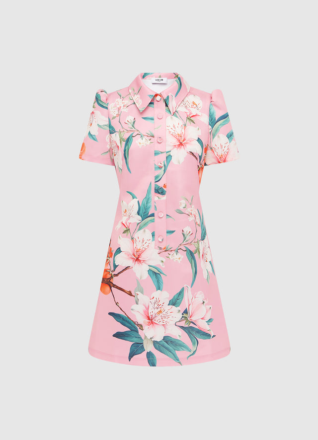 Brooke Mini Dress - Lavish Print in Pink