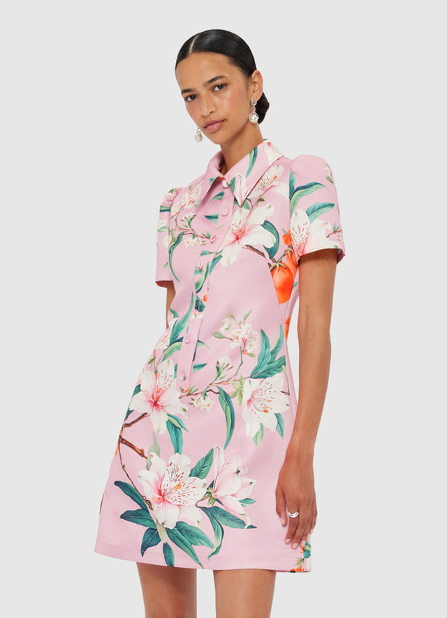 Exclusive LEO LIN Brooke Mini Dress - Lavish Print in Pink