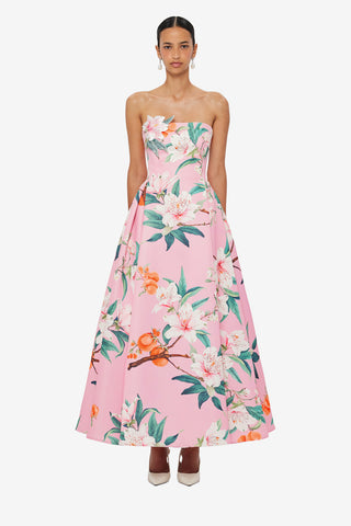 Nora Bustier Maxi Dress - Lavish Print in Pink