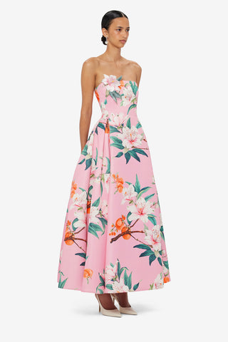Nora Bustier Maxi Dress - Lavish Print in Pink