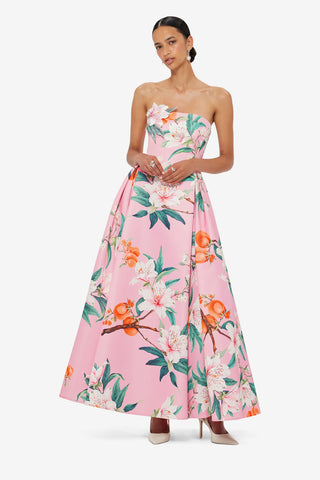 Nora Bustier Maxi Dress - Lavish Print in Pink