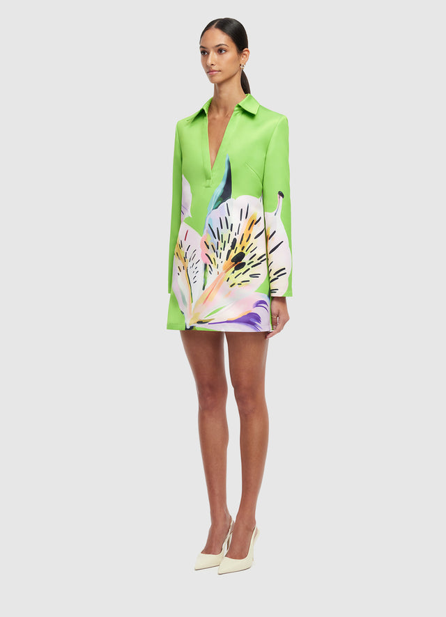 Exclusive LEO LIN Acacia Shirt Mini Dress - Lily Print in Parakeet