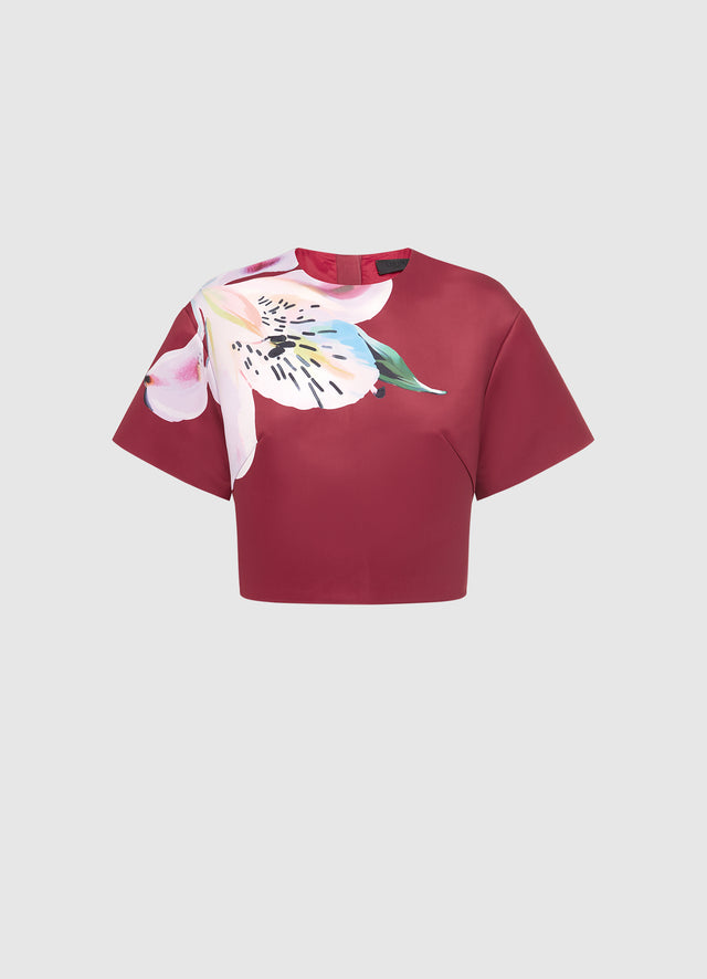 Exclusive LEO LIN Indie Sleeve Top - Lily Print in Burgundy