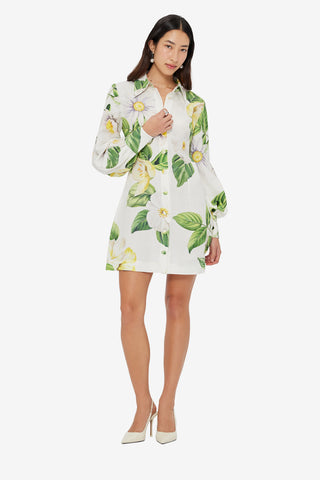Luminous Linen Mini Dress - Joie Print in Snow