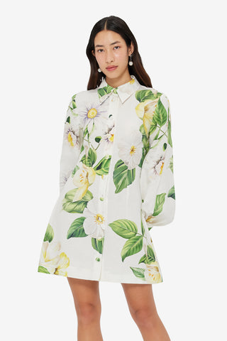 Luminous Linen Mini Dress - Joie Print in Snow