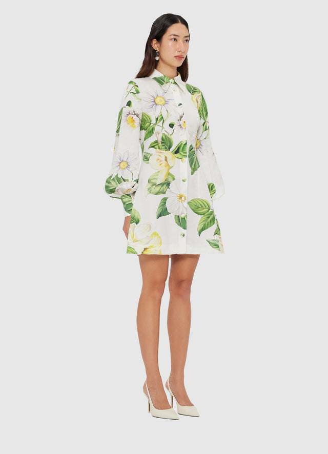 Exclusive LEO LIN Luminous Linen Mini Dress - Joie Print in Snow