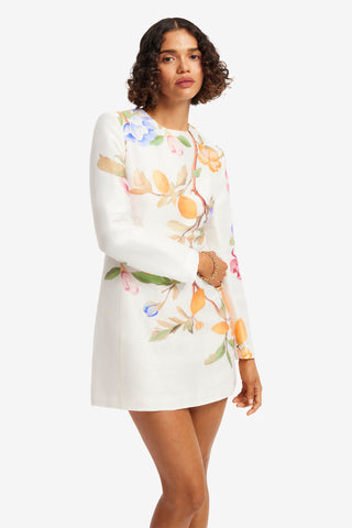 Exclusive LEO LIN Aliza Long Sleeve Mini Dress - Lemon Vine Print in Snow