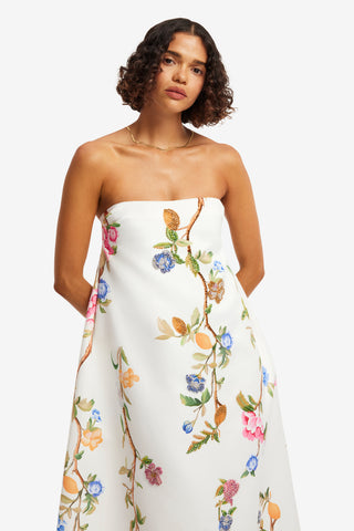 Phoebe Embellished Gown - Lemon Vine Print in Snow Dress Maxi