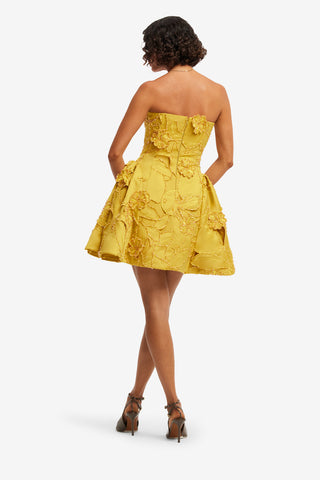 Lena Embellished Bustier Mini Dress - Opulence Dress Mini