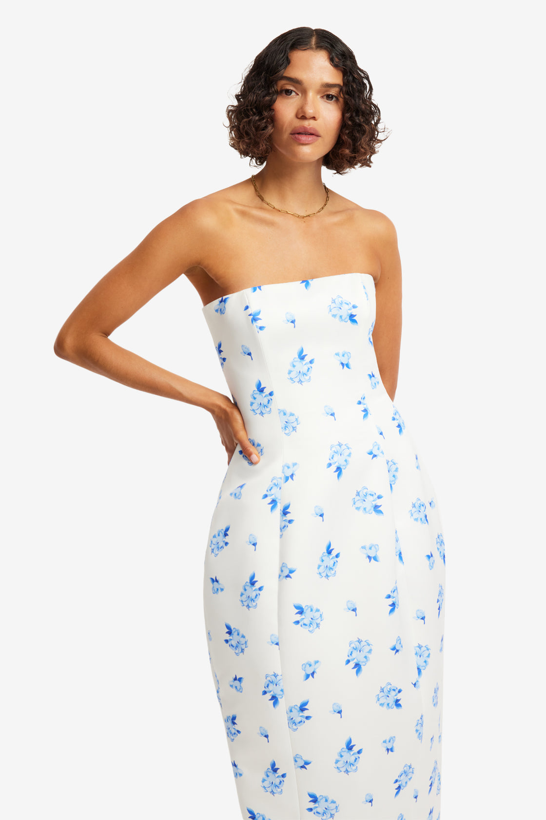 Exclusive LEO LIN Jessica Cocoon Bustier Maxi Dress - Ditsy Floral Print in Snow