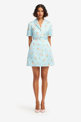 Brigitte Mini Dress - Ditsy Floral Print in Blue Dress Mini