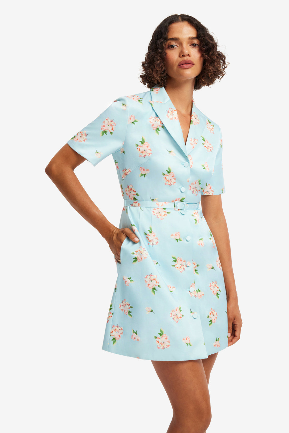 Brigitte Mini Dress - Ditsy Floral Print in Blue Dress Mini