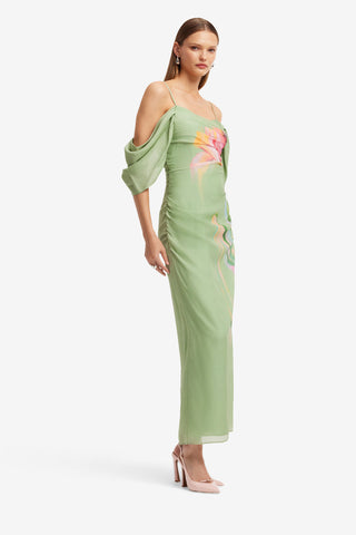 Angeline Maxi Dress - Tulip Print in Green Dress Maxi