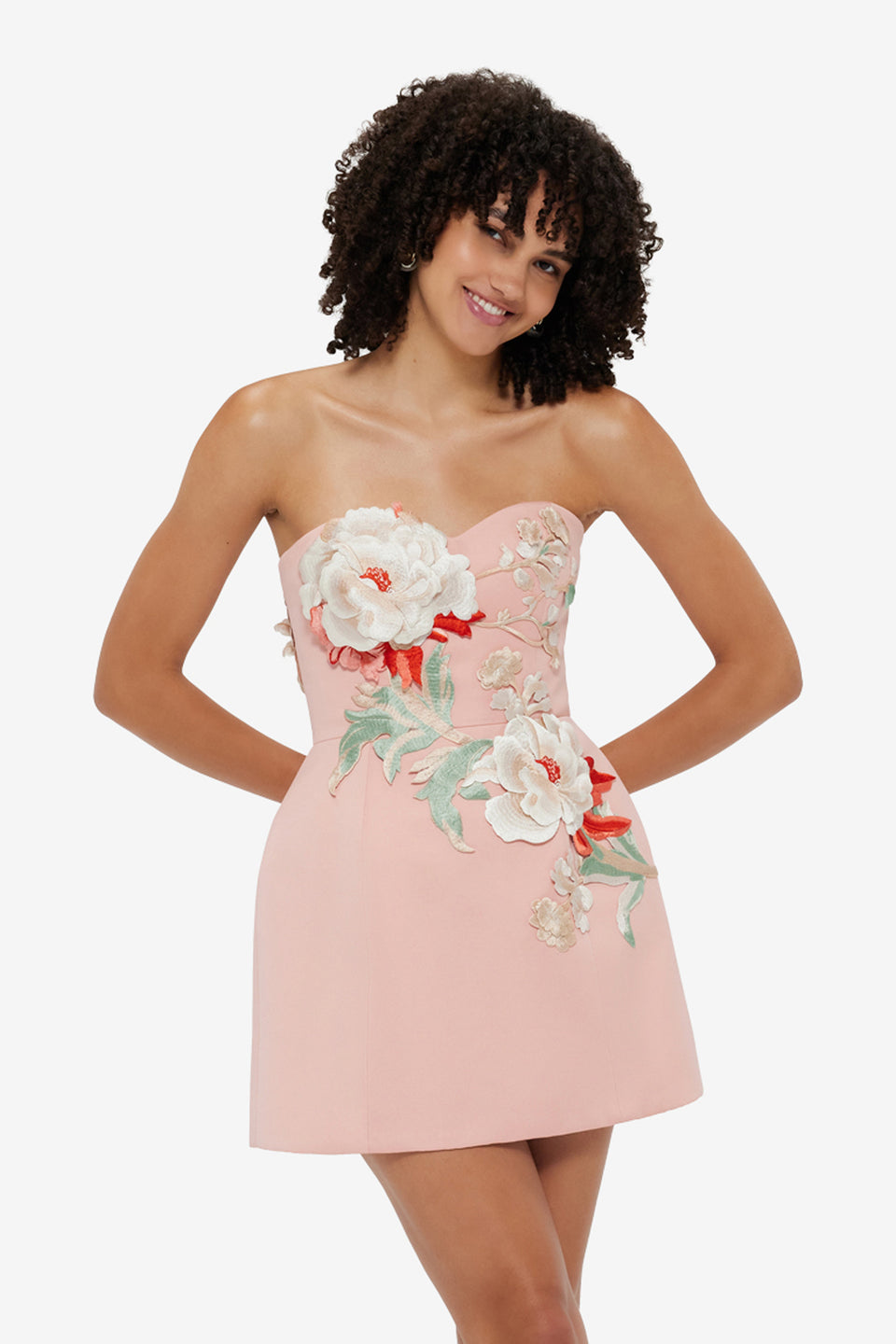 Exclusive Leo Lin Rosario Appliqué Bustier Mini Dress - Peony Print