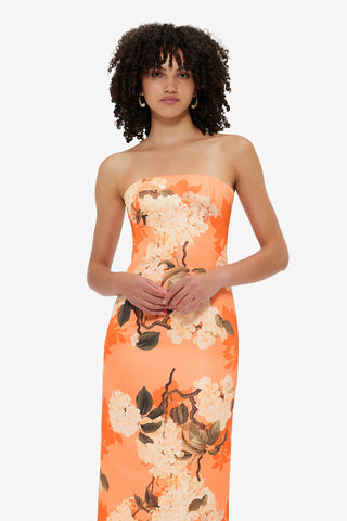 Exclusive Leo Lin Rayna Bustier Maxi Dress - Hydrangea Print in Tangerine
