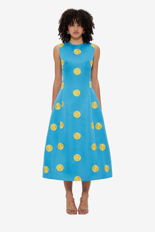 Exclusive LEO LIN Cleo Embroidered Sleeveless Midi Dress