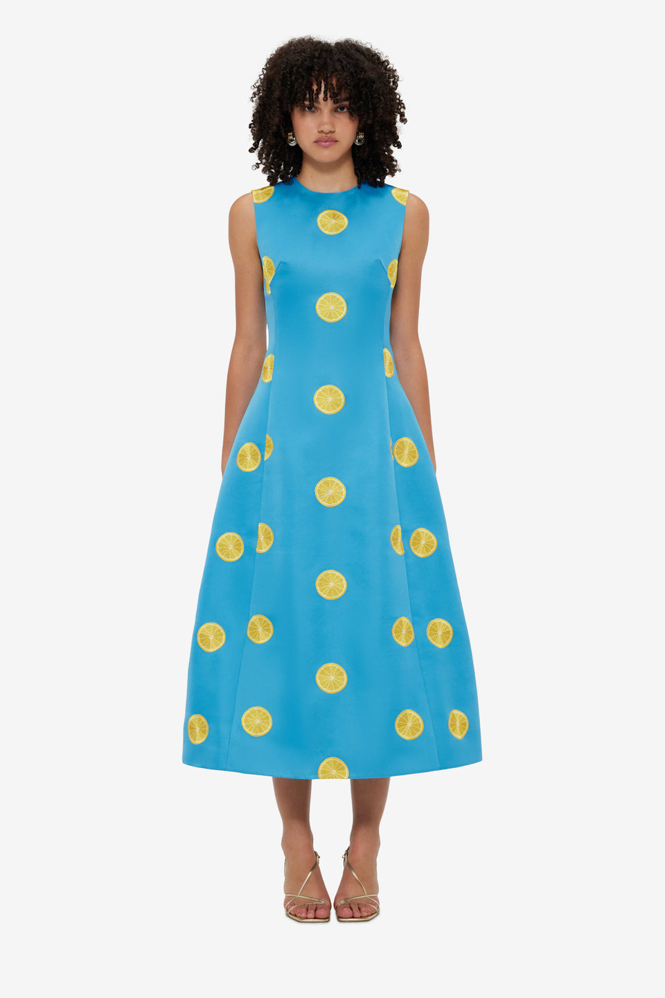 Exclusive LEO LIN Cleo Embroidered Sleeveless Midi Dress