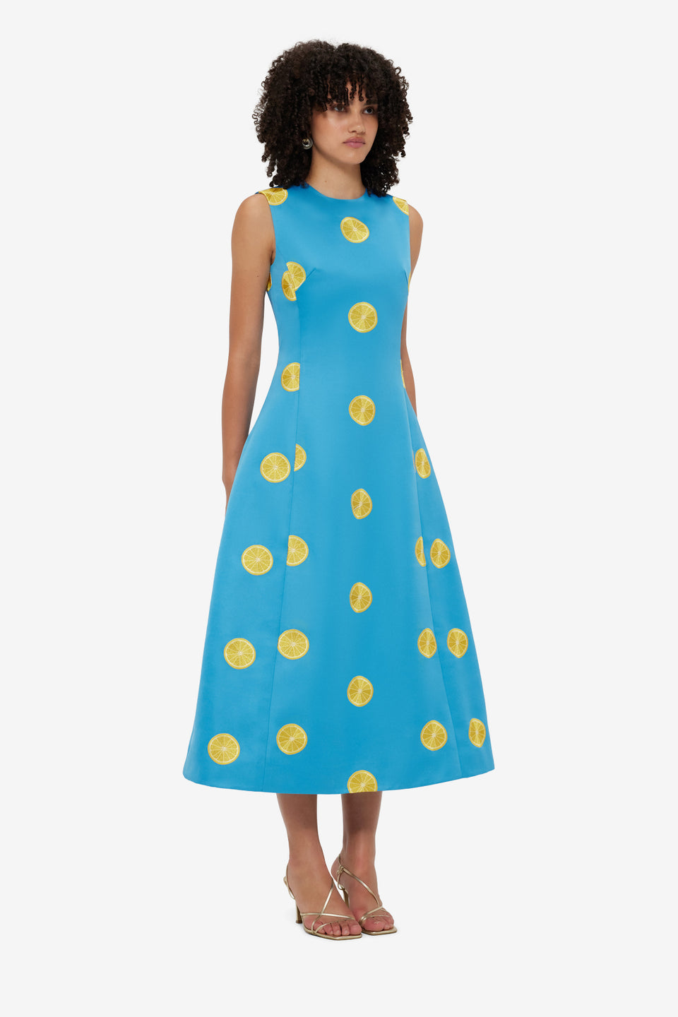 Exclusive LEO LIN Cleo Embroidered Sleeveless Midi Dress