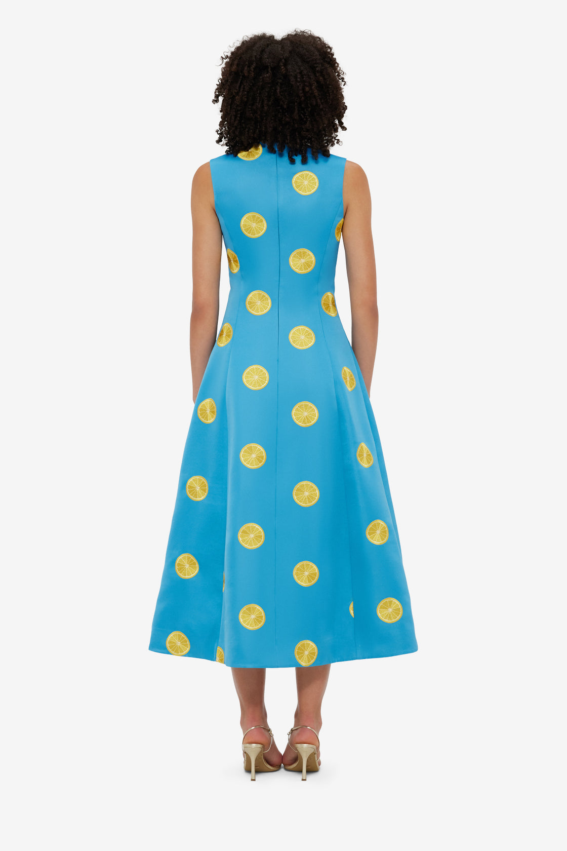 Exclusive LEO LIN Cleo Embroidered Sleeveless Midi Dress