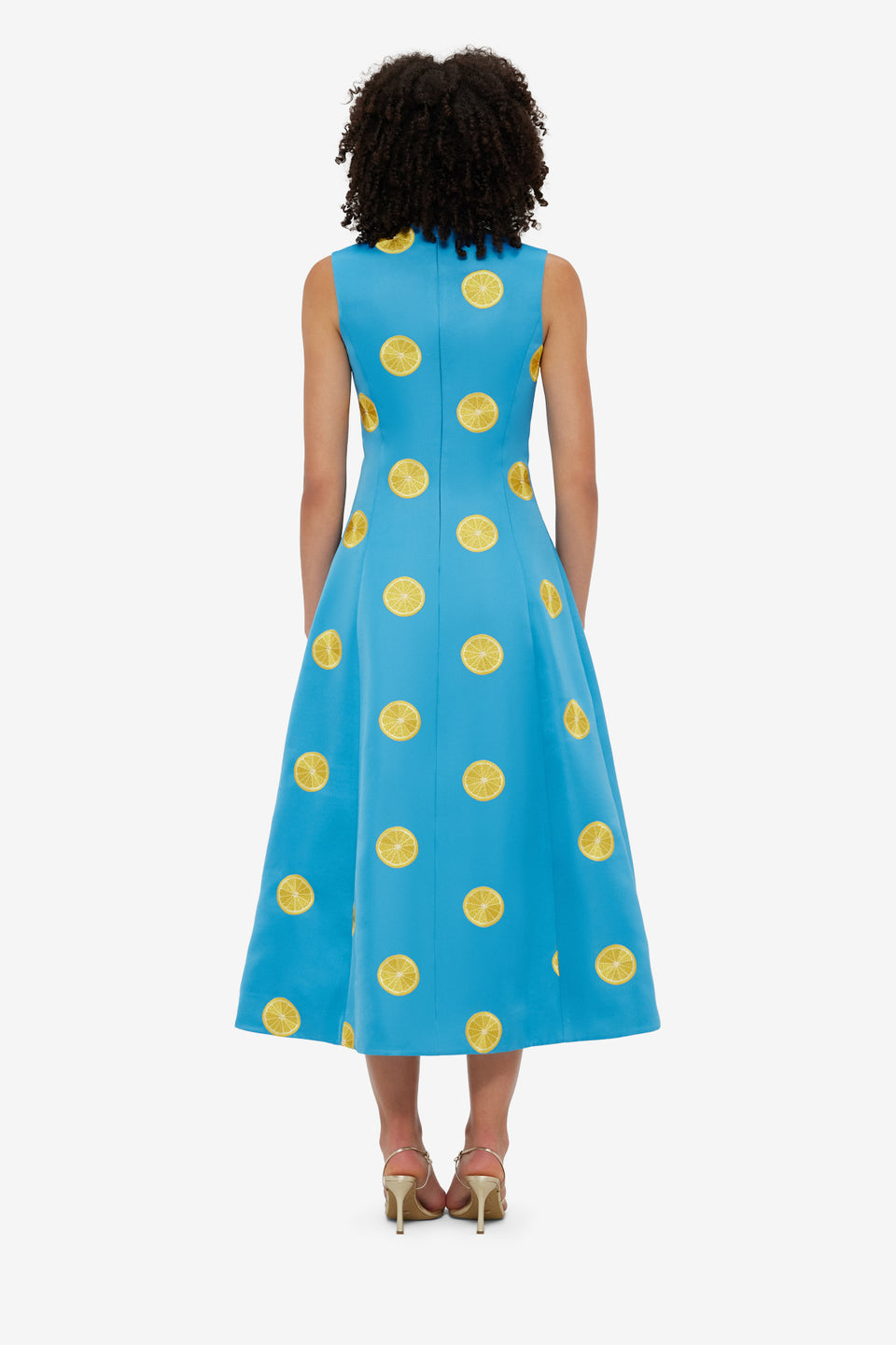 Exclusive LEO LIN Cleo Embroidered Sleeveless Midi Dress