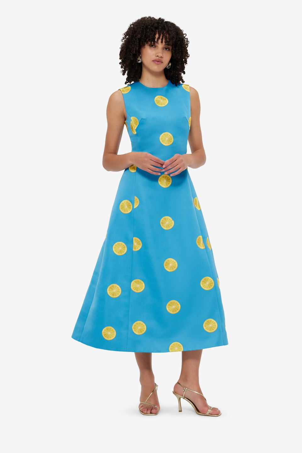 Exclusive LEO LIN Cleo Embroidered Sleeveless Midi Dress