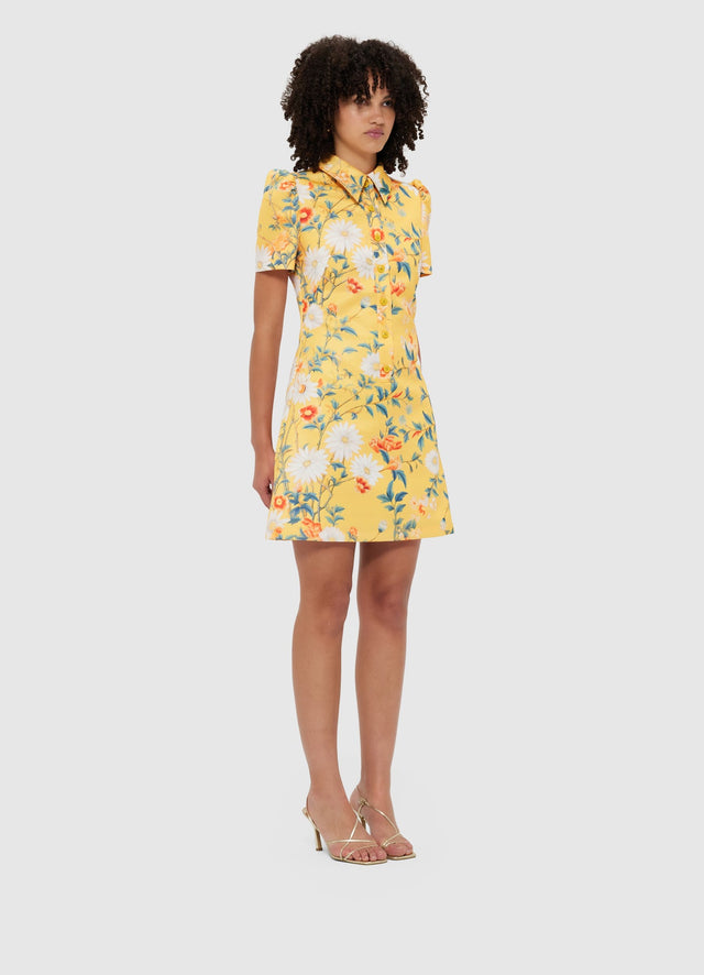 Exclusive Leo Lin Brooke Mini Dress - Daisy Print