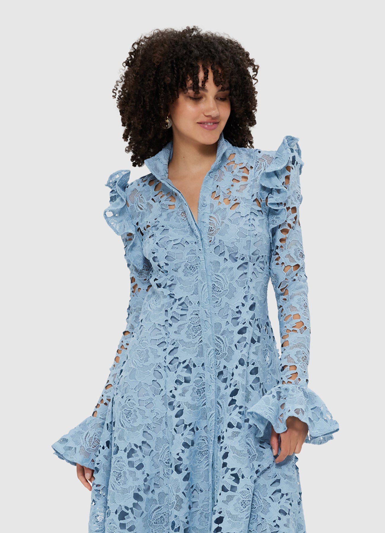 Natia dress midi shops embroidered butterfly sleeve lace dress