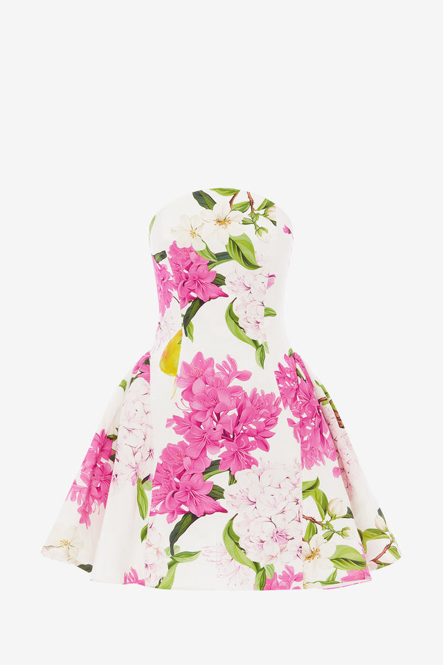 Exclusive LEO LIN Reese Bustier Mini Dress - Floral Pear Print