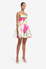 Reese Bustier Mini Dress - Floral Pear Print Dress Mini