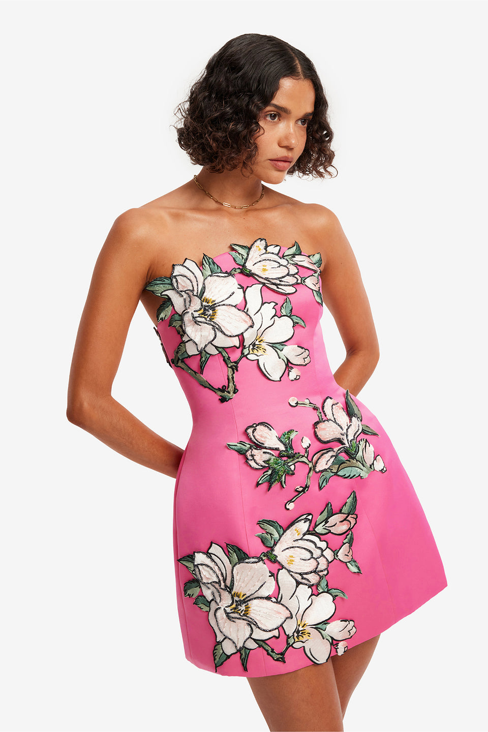 Zaria Appliqué Floral Bustier Mini Dress - Pink Magnolia Print