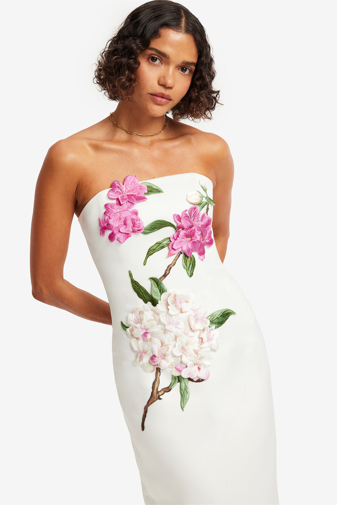 Exclusive LEO LIN Rayna Appliqué Floral Maxi Dress - Floral Pear Print